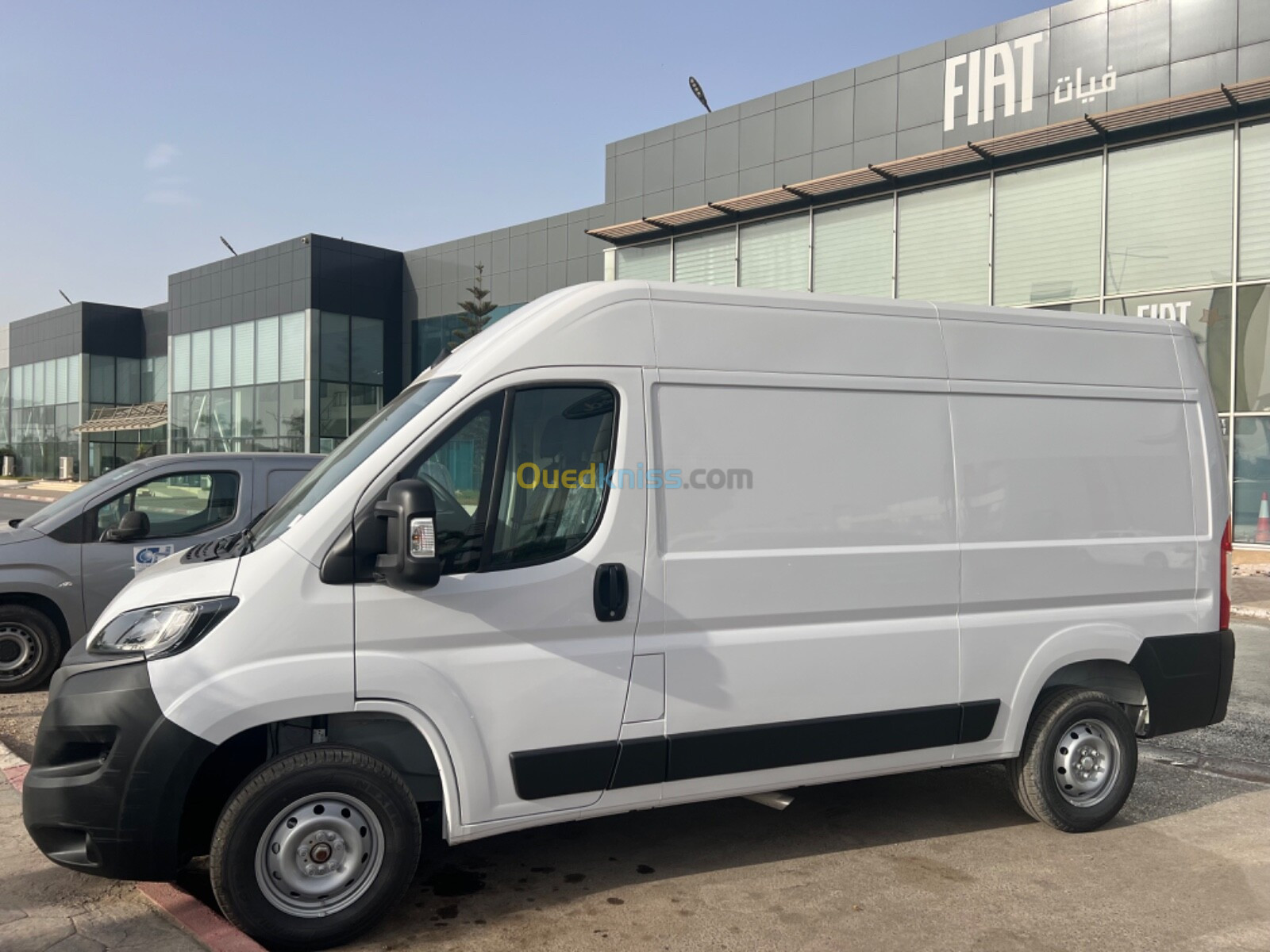 Fiat Professional Ducato 2024 