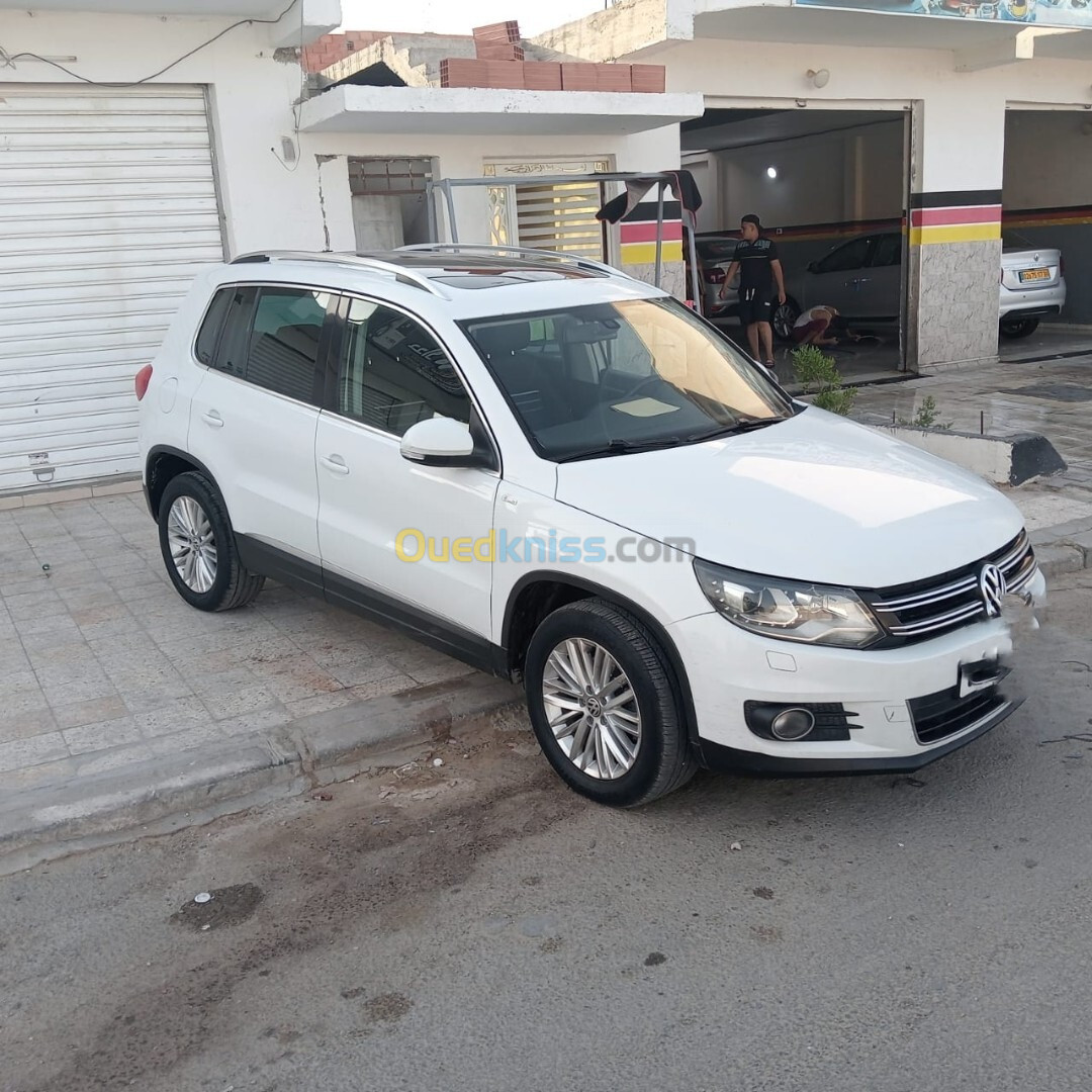 Volkswagen Tiguan 2015 cup