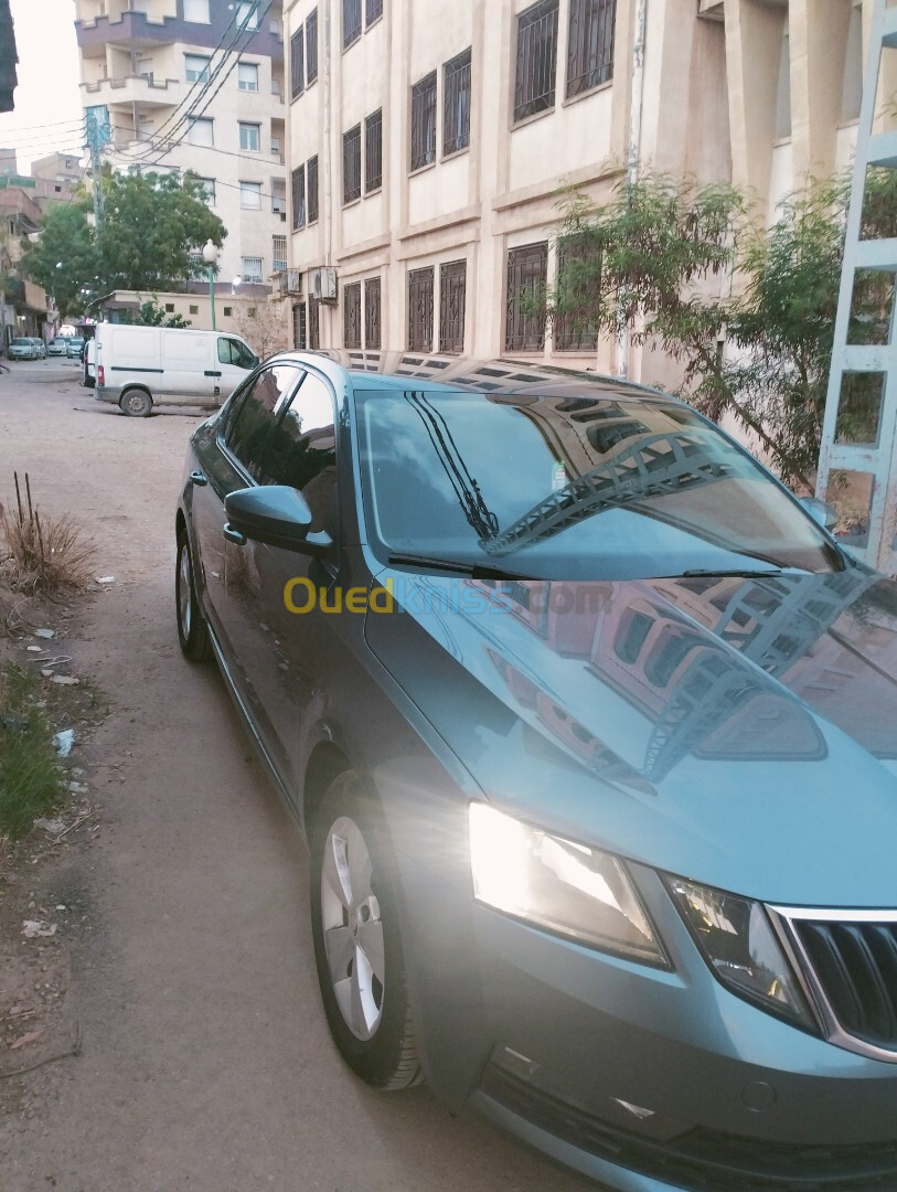 Skoda Octavia 2019 Business