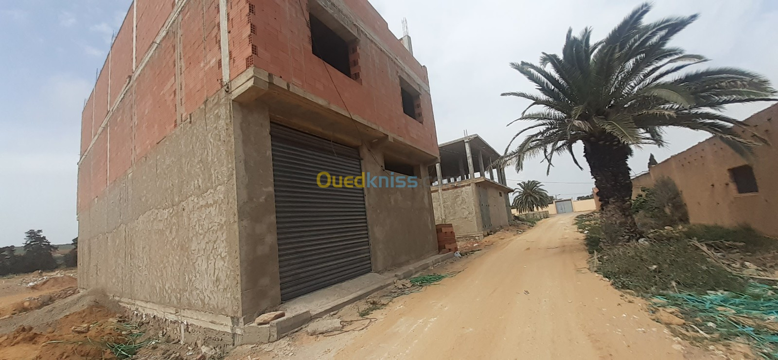 Vente Terrain Mostaganem Hassi maameche