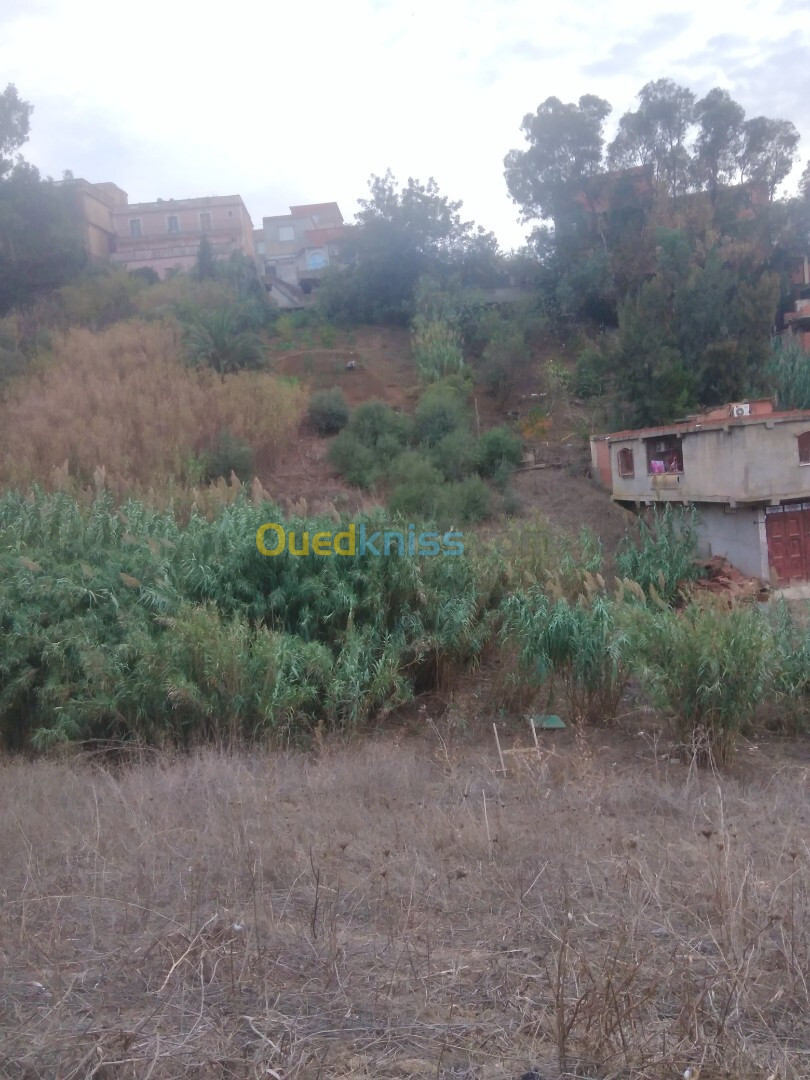 Vente Terrain Alger Douera