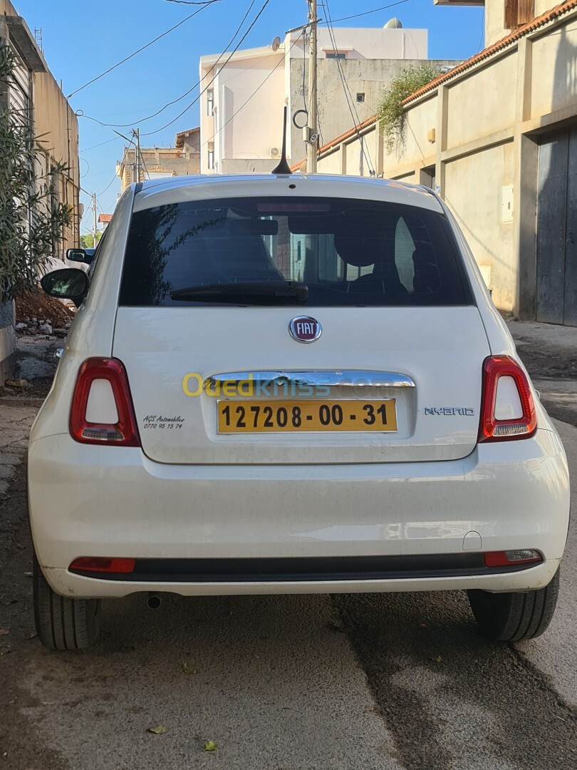 Fiat 500 2024 Clut