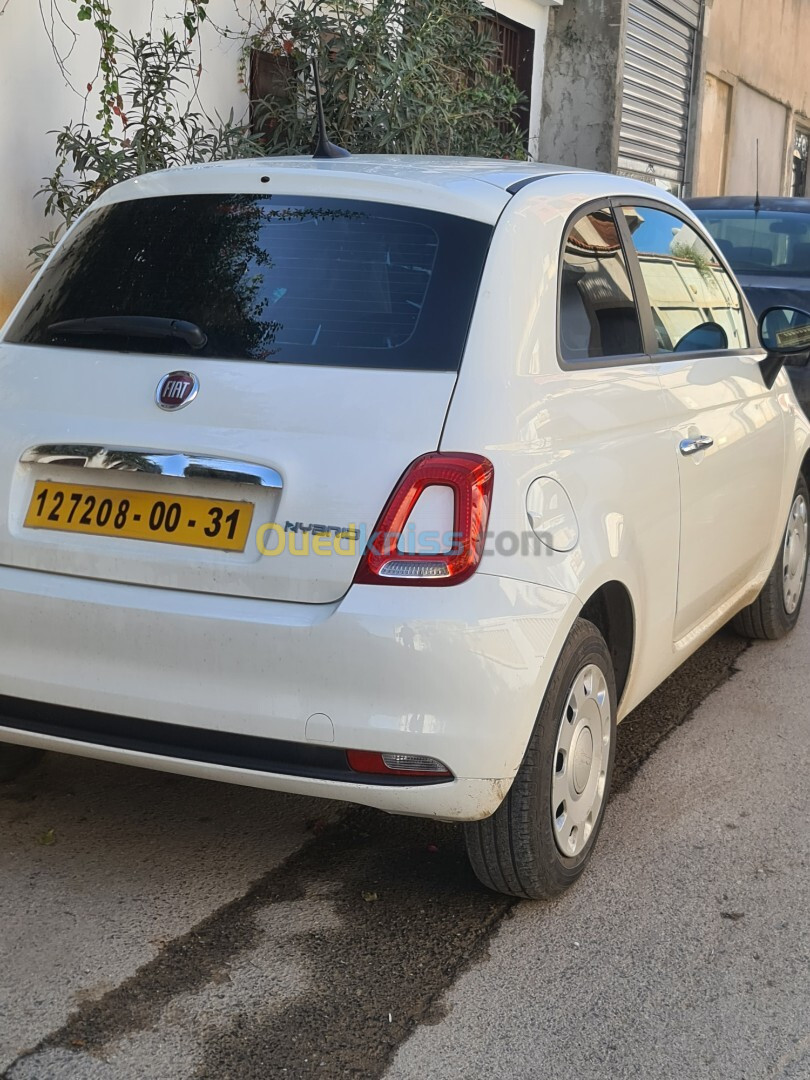 Fiat 500 2024 Clut