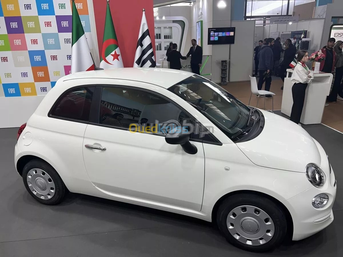 Fiat 500 2024 Clut