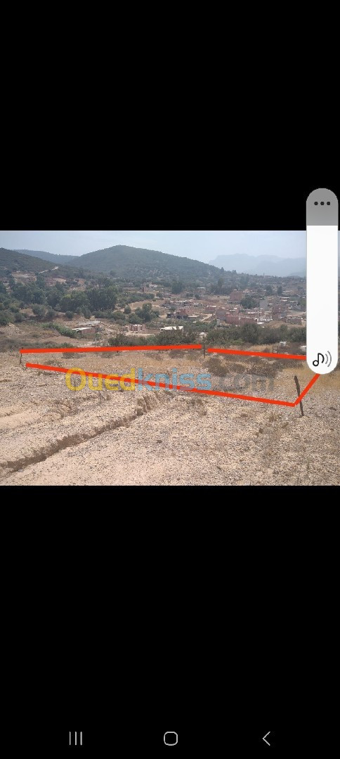 Vente Terrain Boumerdès El kharrouba