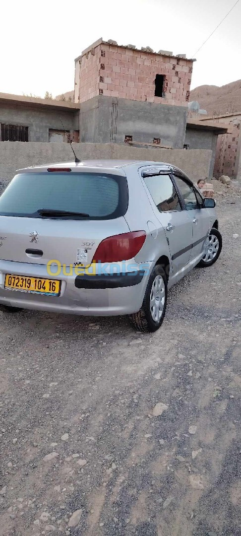 Peugeot 307 2004 307