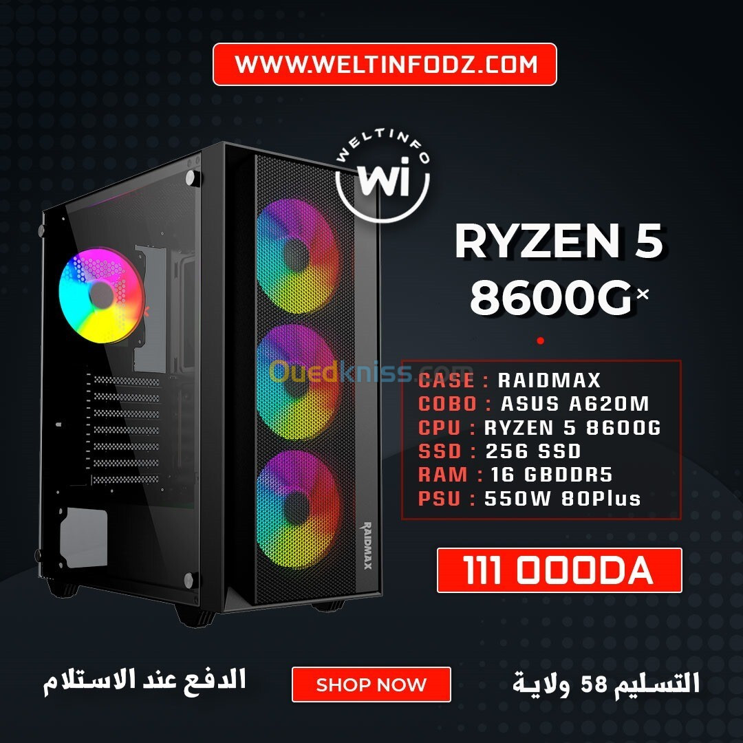 POWER BY WELTINFO RYZEN 5 8600G 16GB RAM 256 SSD RADEON GRAPHICS 760M