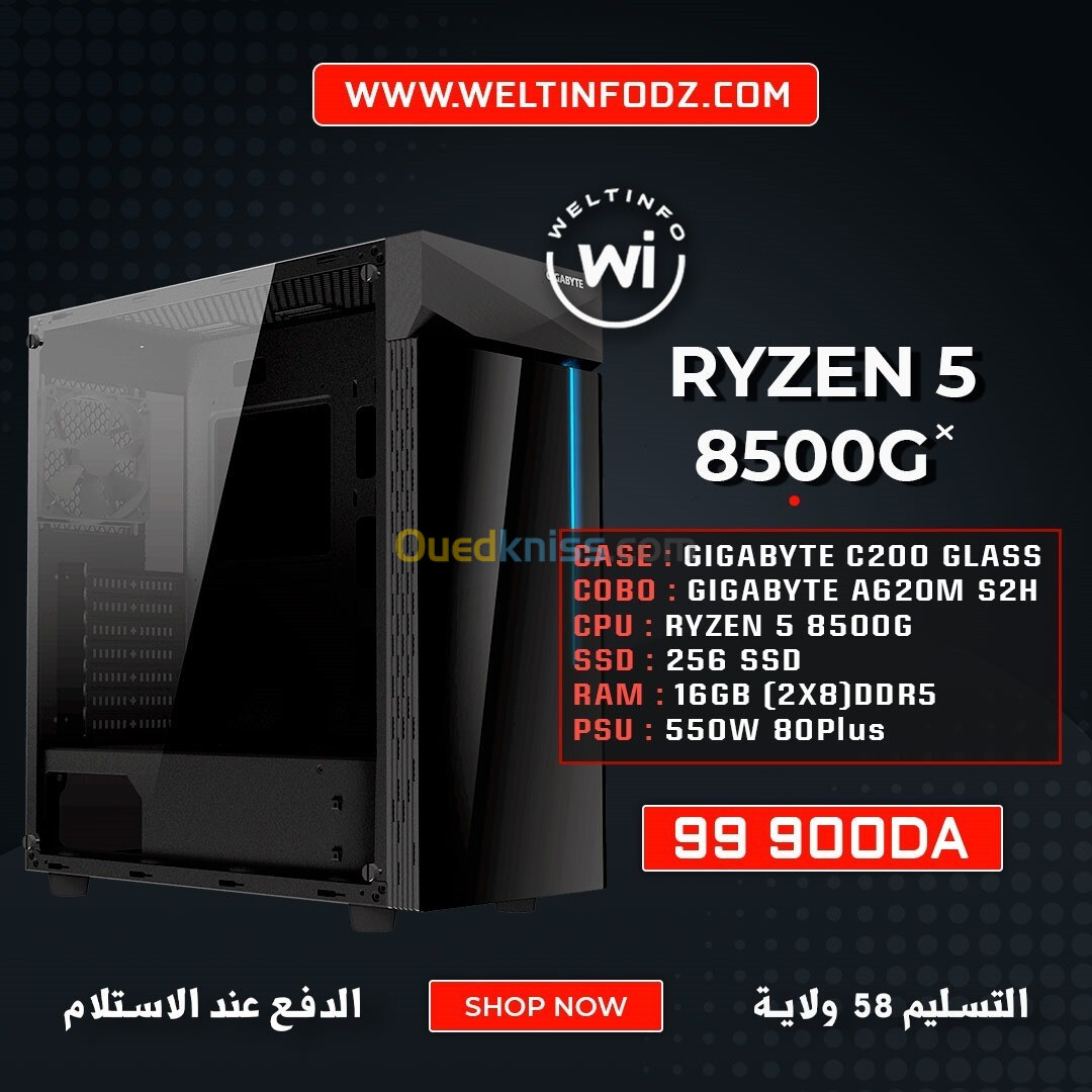 POWER BY WELTINFO RYZEN 5 8500G 16GB RAM 256 SSD ALIM 550 VEGA RADEON 760M