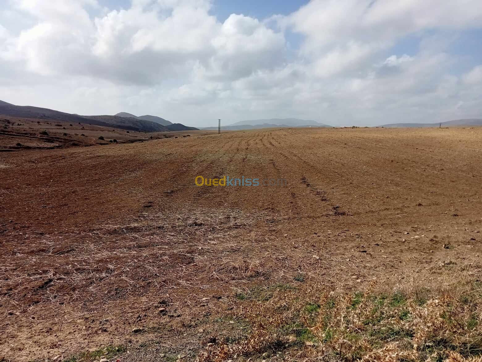 Vente Terrain Agricole Bouira Bordj okhriss