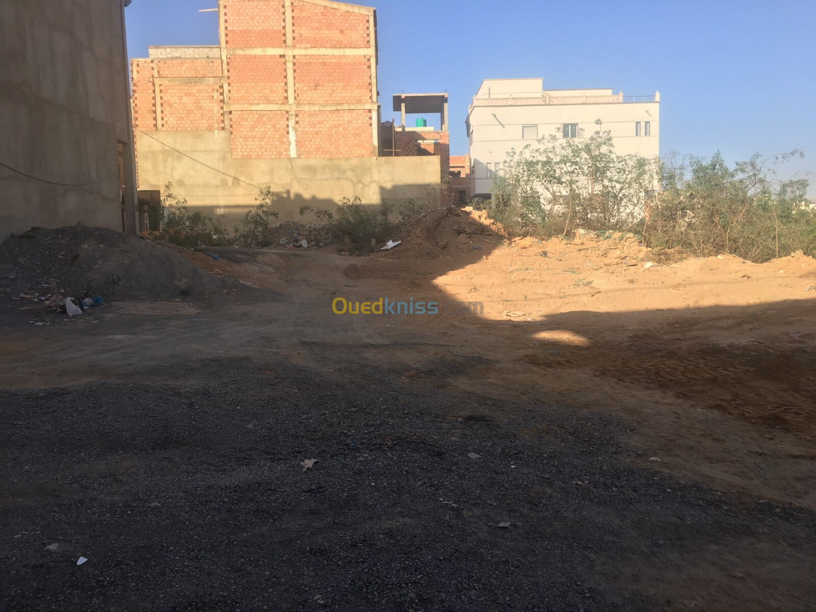 Vente Terrain Oran Bir el djir