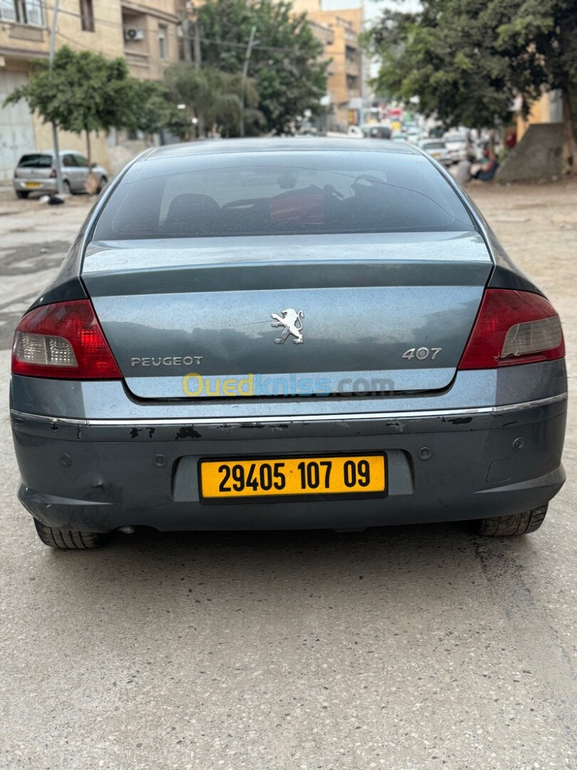 Peugeot 407 2007 