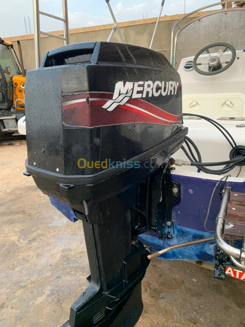 Moteur Mercury 60 Beauté 2007