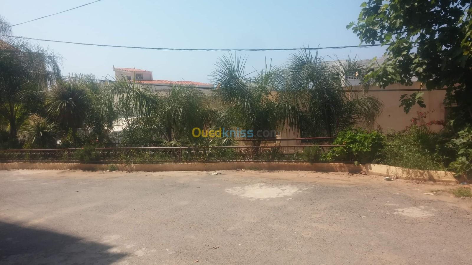 Location Appartement F2 Tipaza Ain tagourait