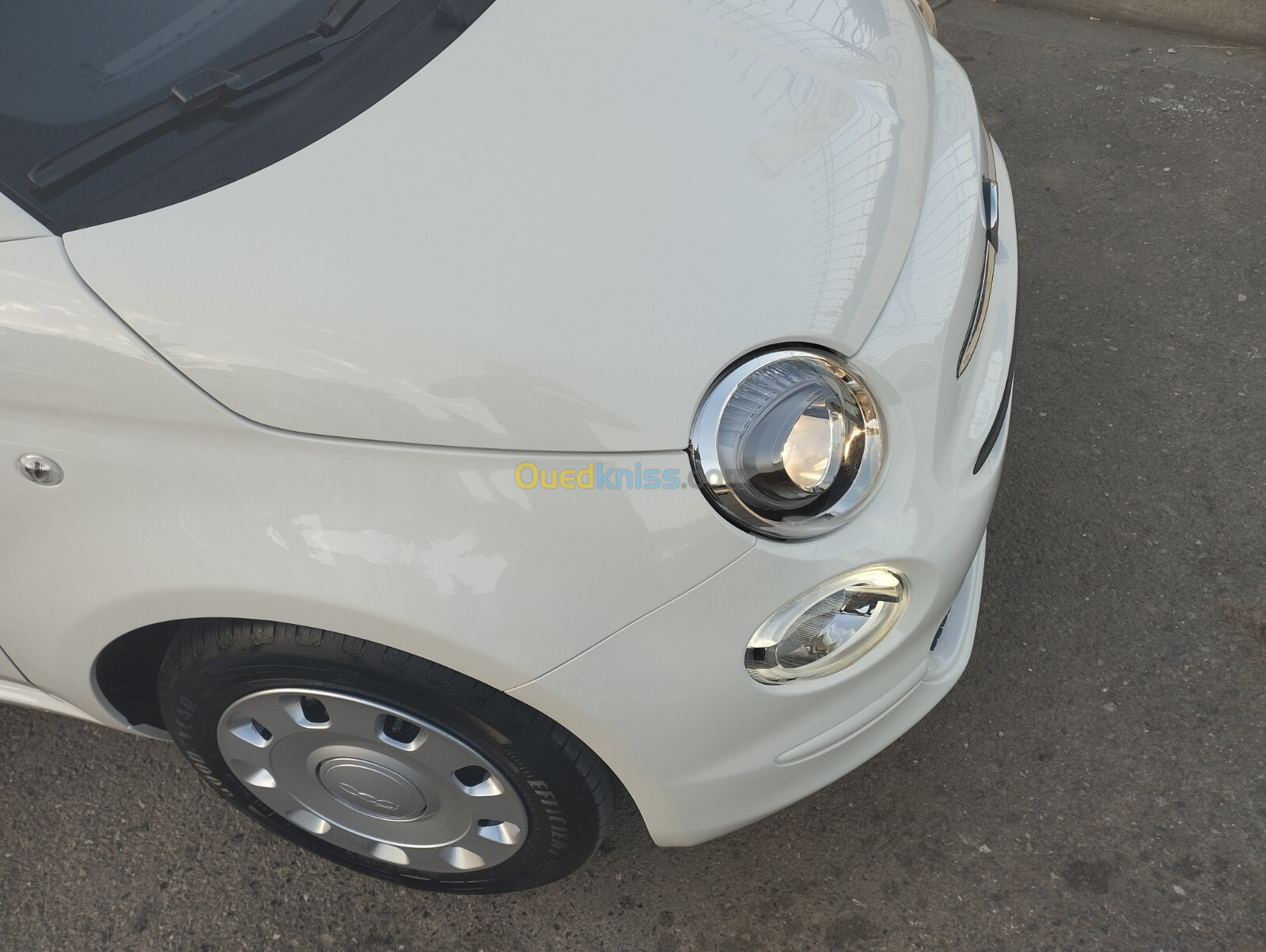 Fiat Fiat 500 2024 Cult