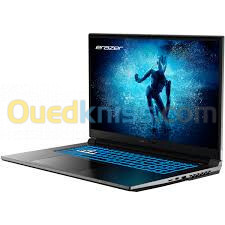 LAPTOP ERAZER DEFENDER P50-MD 62587 I7-12650H DDR4 16Go NVMe.512GO RTX4070  17.3"144HZ/W11