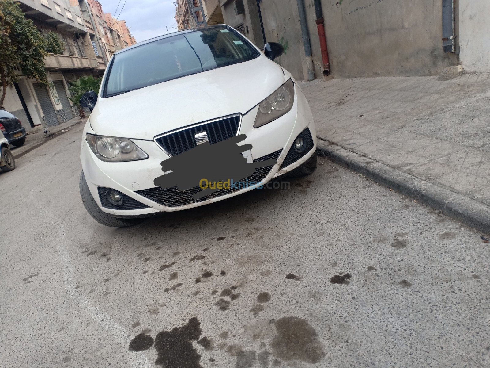 Seat Ibiza 2011 Loca