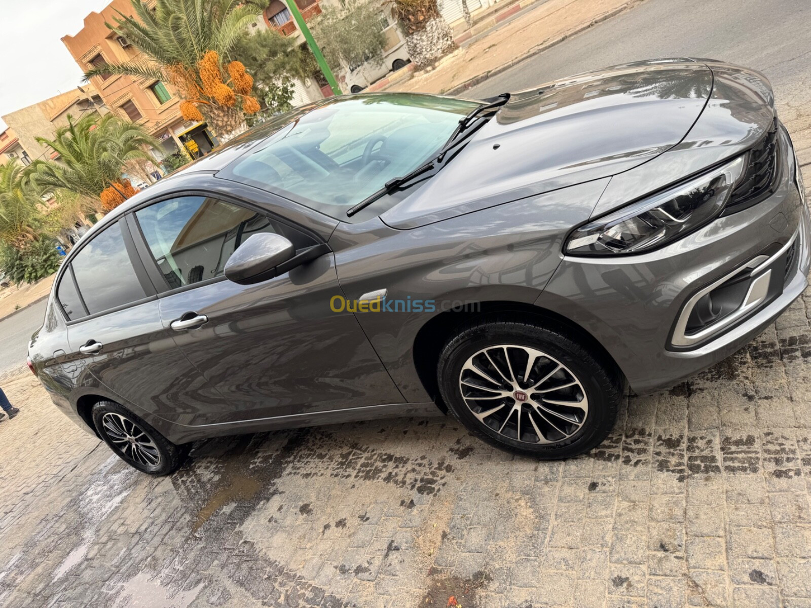 Fiat Tipo 2024 Life