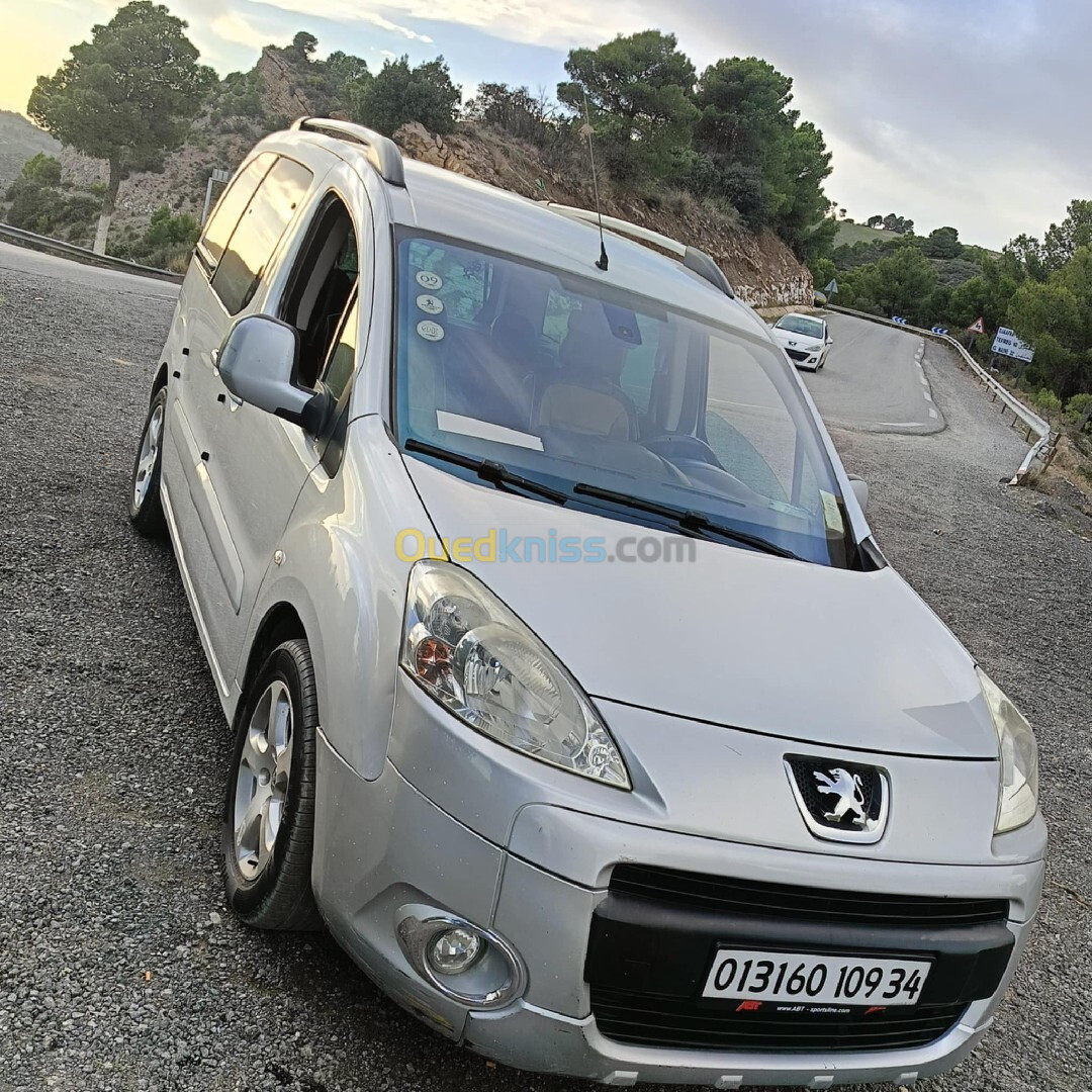 Peugeot Partner 2009 Tepee