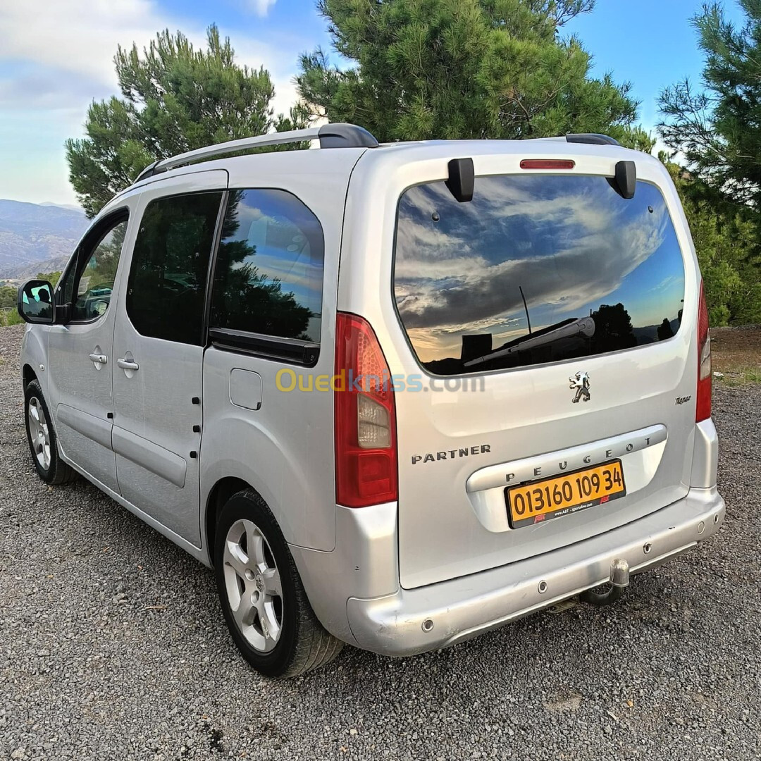 Peugeot Partner 2009 Tepee