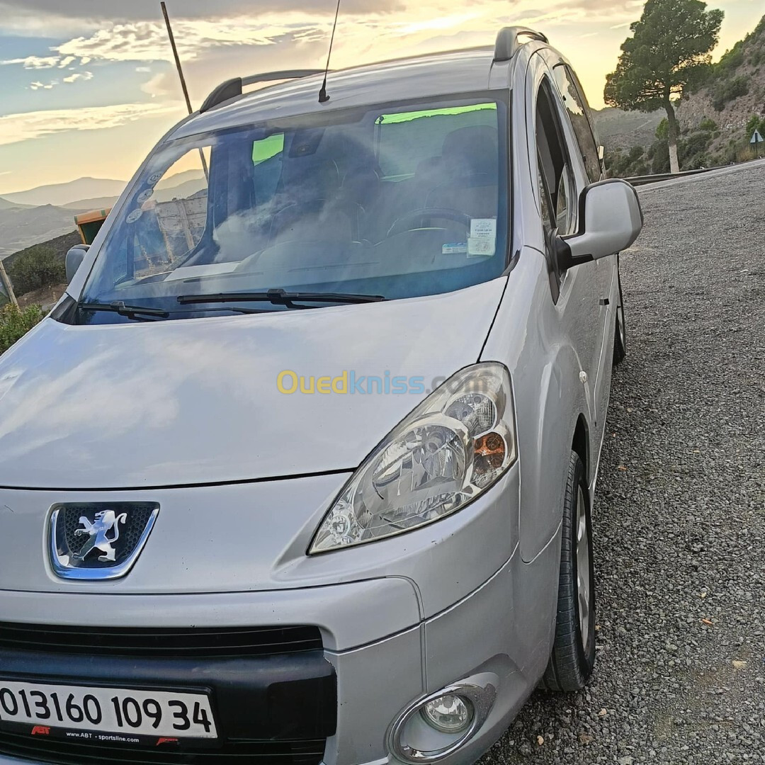 Peugeot Partner 2009 Tepee