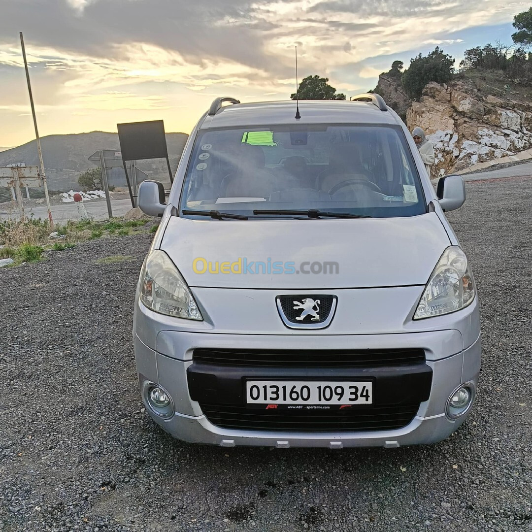 Peugeot Partner 2009 Tepee