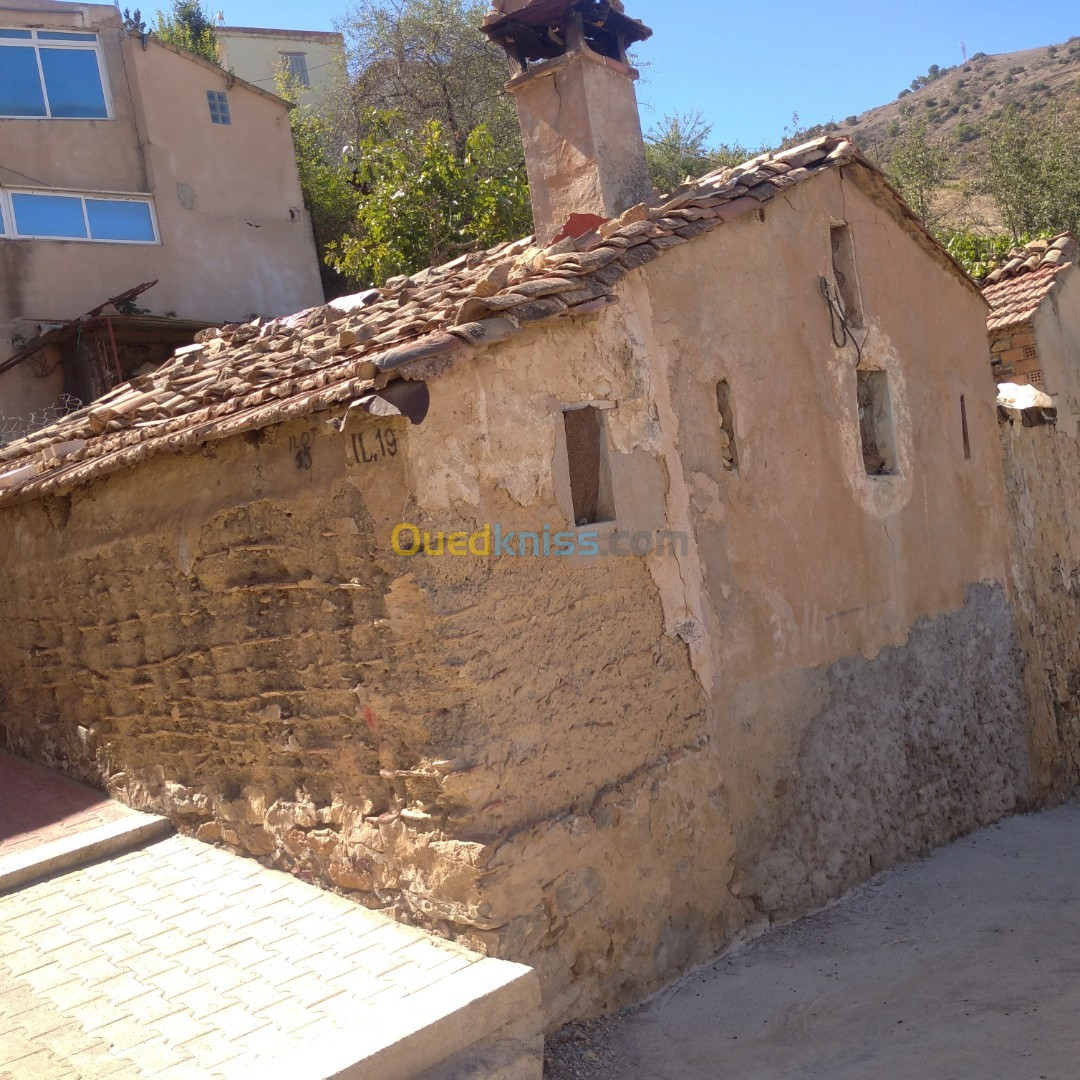 Vente Carcasse Bejaia Tamokra