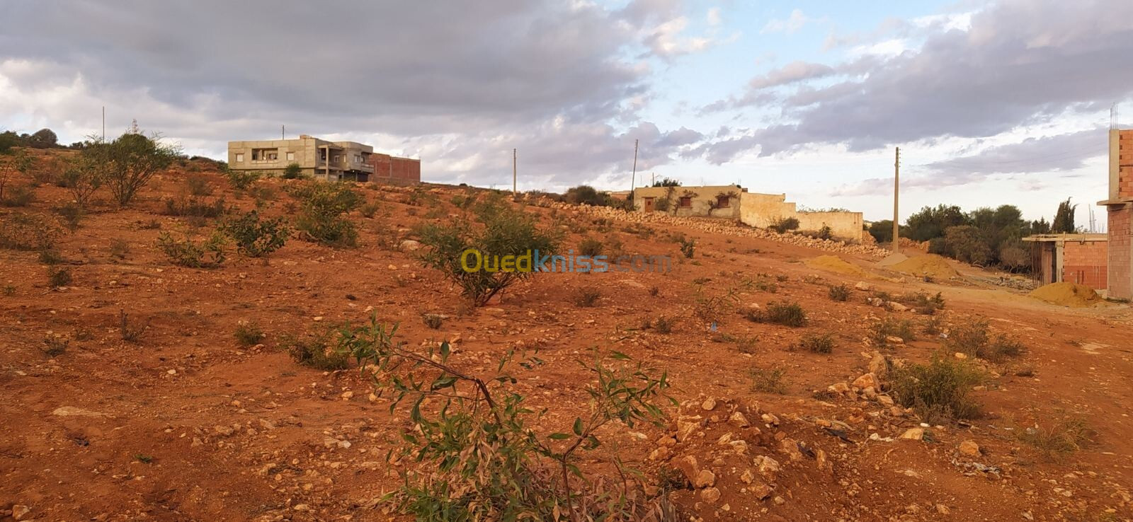 Vente Terrain Mostaganem Sayada