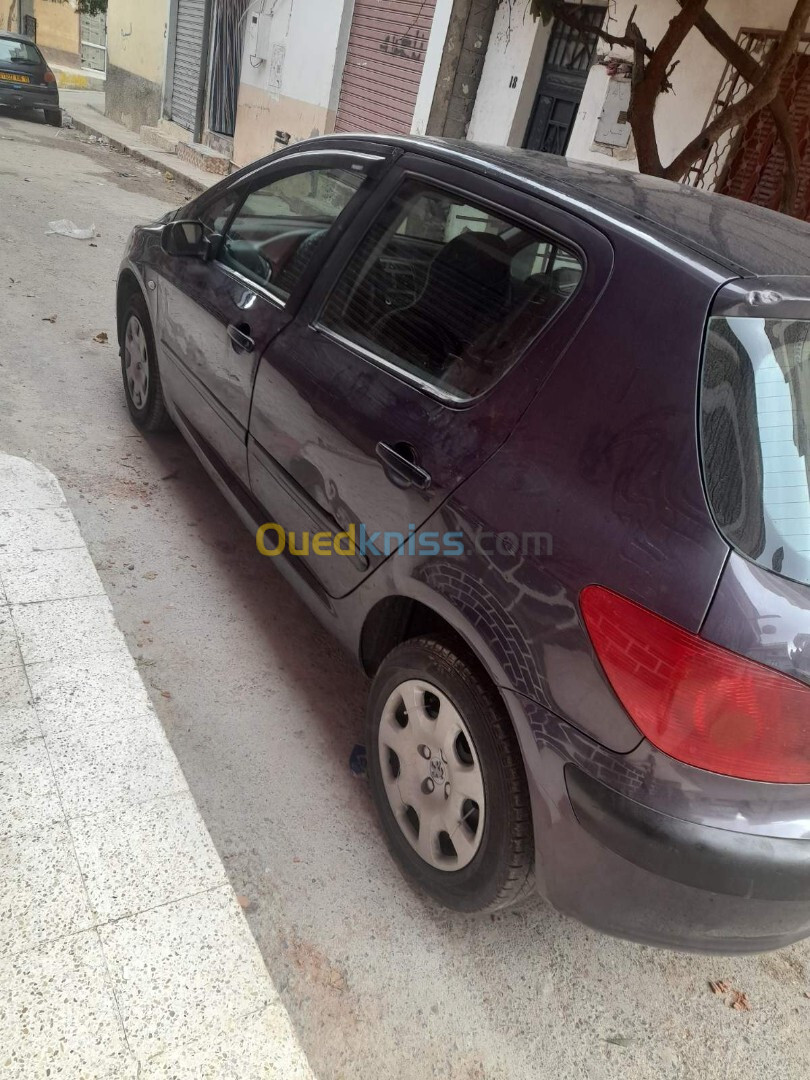 Peugeot 307 2002 307