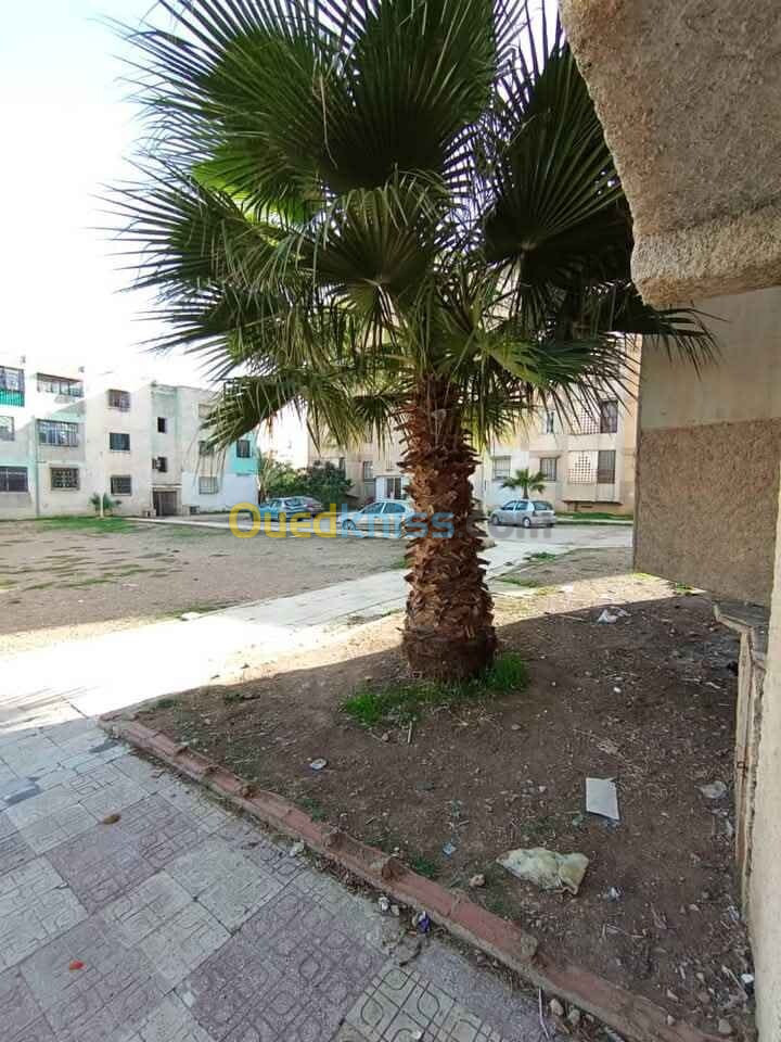 Vente Appartement F3 Mila Oued athmania