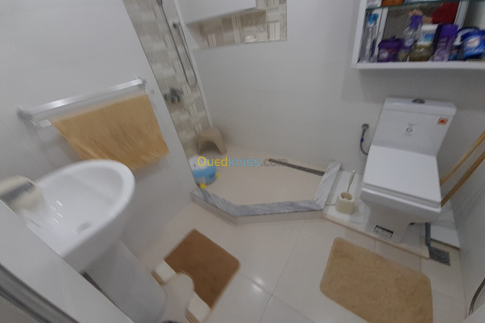 Vente Appartement F3 Tipaza Kolea