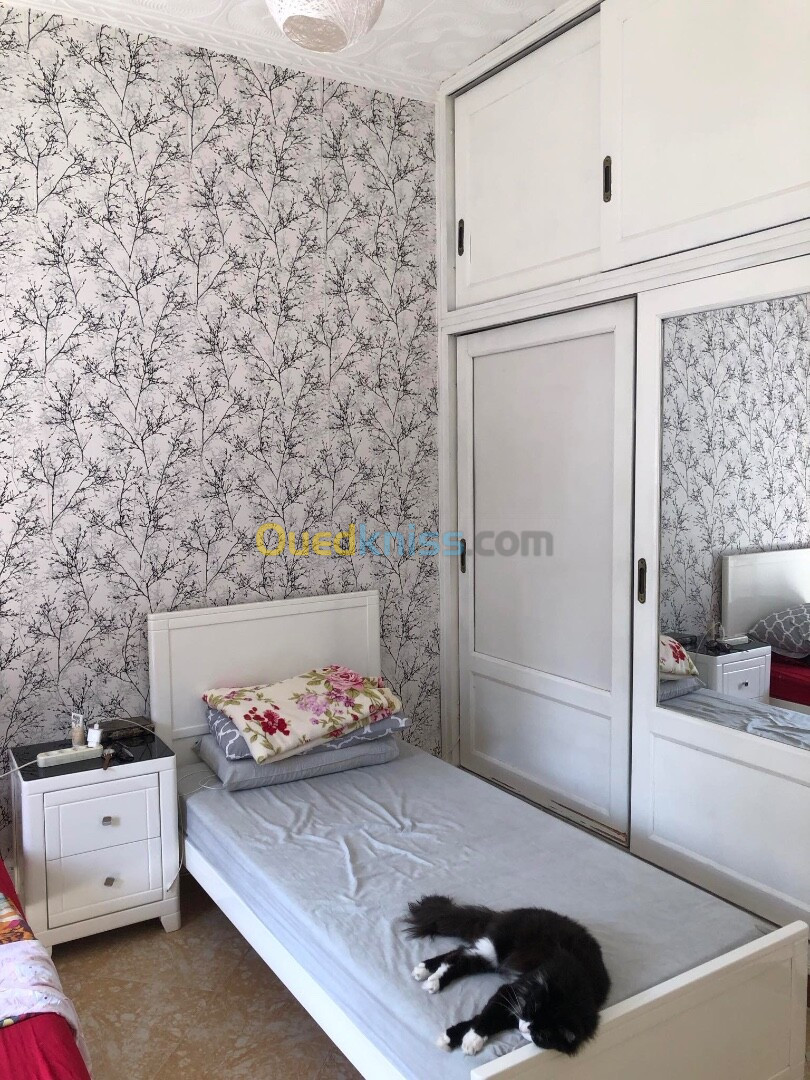 Vente Appartement F3 Alger Alger centre