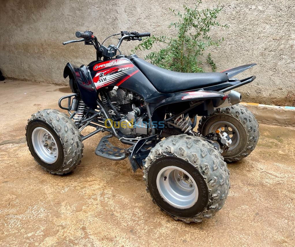 SAM Pentora 250 cc 2022