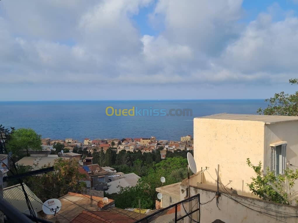 Cherche achat Niveau De Villa Alger Bab el oued