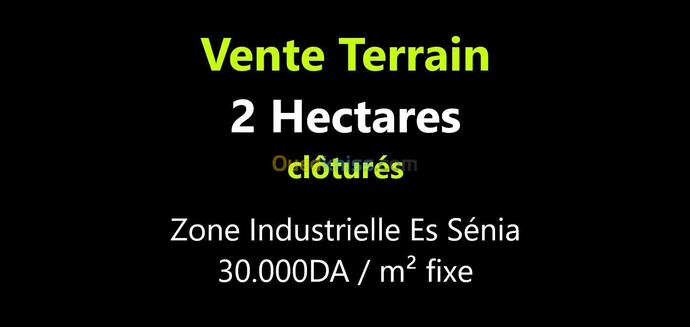 Vente Terrain Oran Es senia