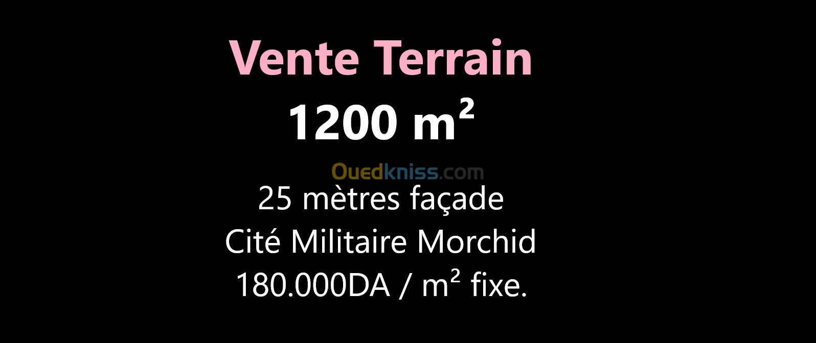 Vente Terrain Oran Oran