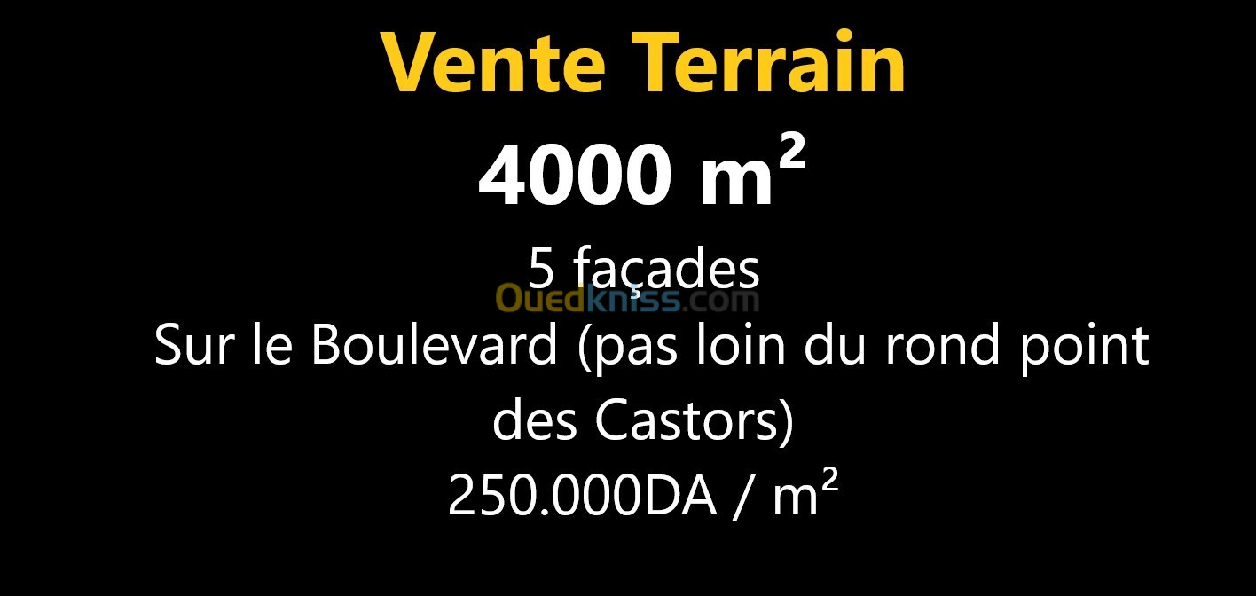 Vente Terrain Oran Oran