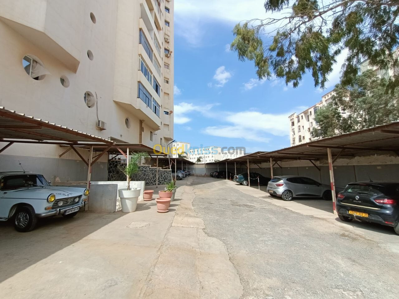 Location Appartement F3 Oran Oran