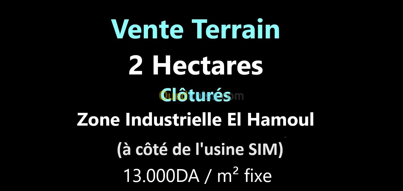 Vente Terrain Oran Tafraoui