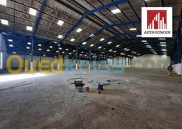 Location Hangar Oran Oued tlelat