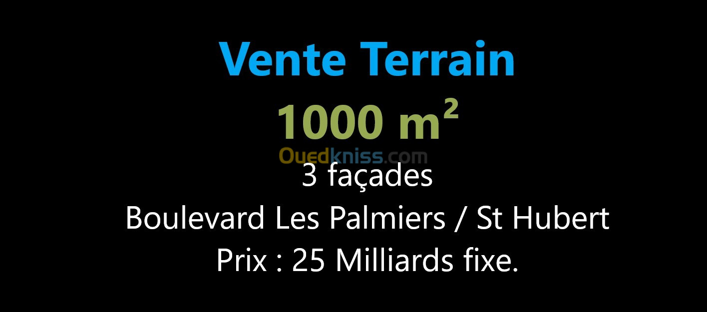 Vente Terrain Oran Oran