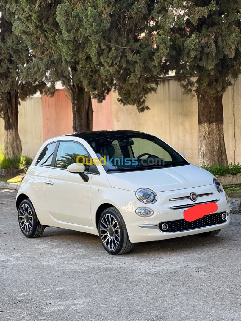 Fiat 500 2024 Dalti vita