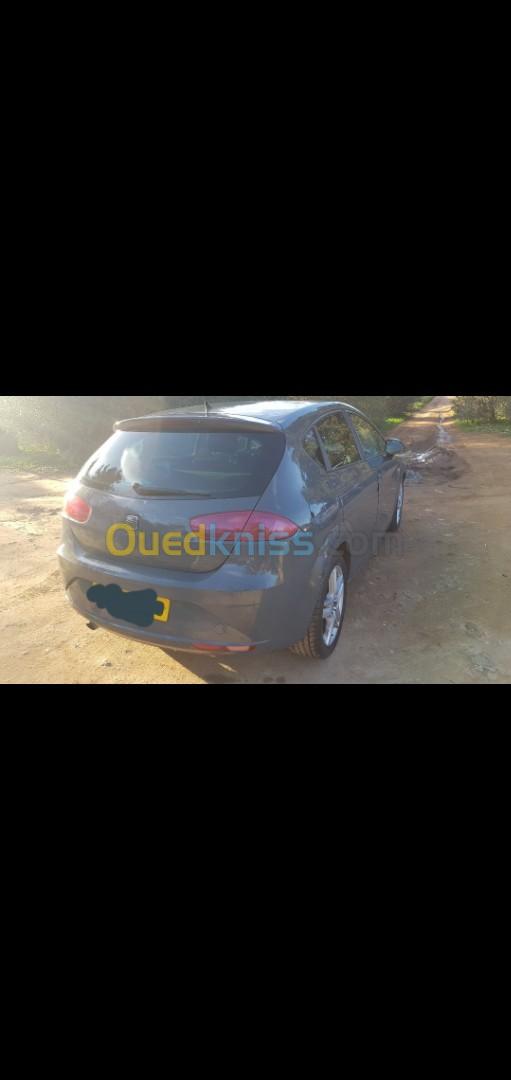 Seat Leon 2010 Fully