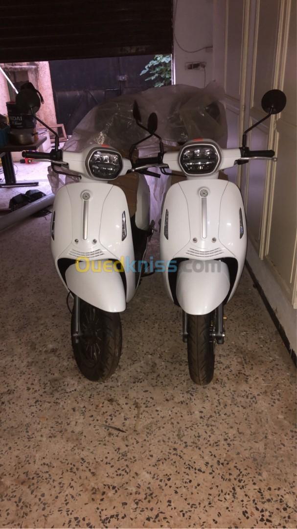 benelli vms PANAREA 2023