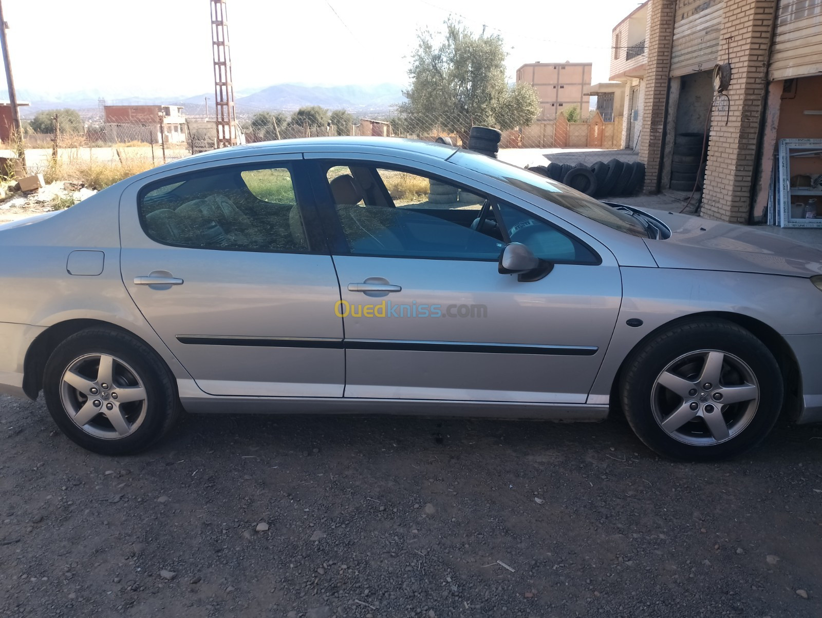 Peugeot 407 2004 407