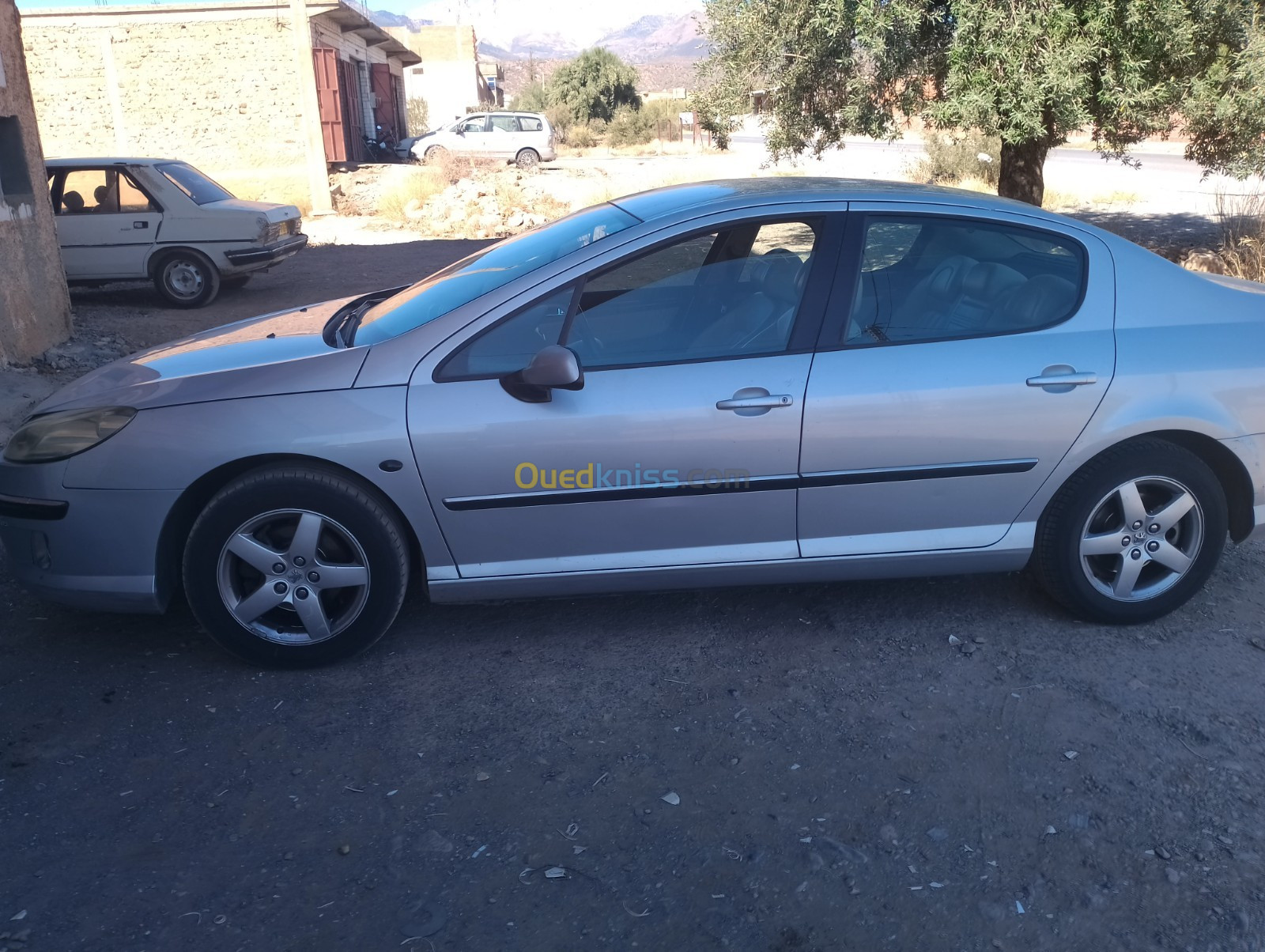 Peugeot 407 2004 407