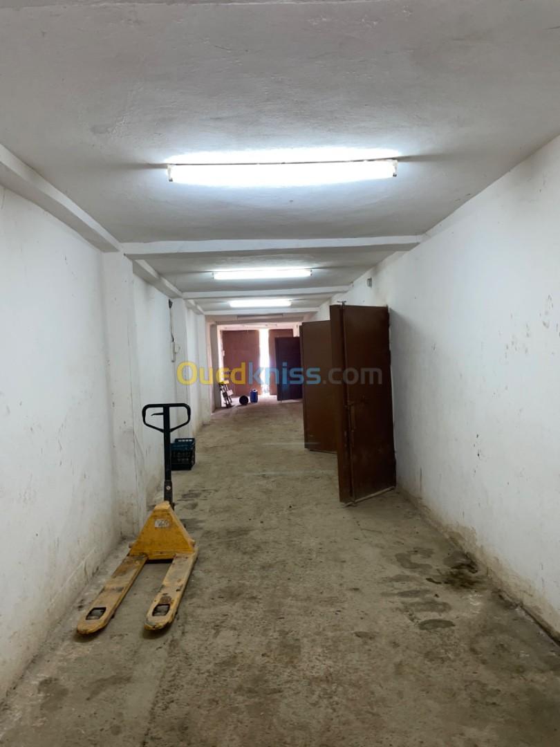 Location bien immobilier Chlef Sidi akkacha