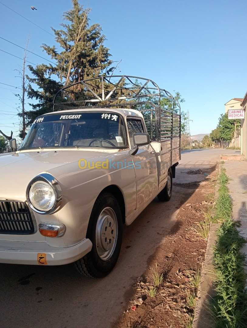 Peugeot 404 1981 404