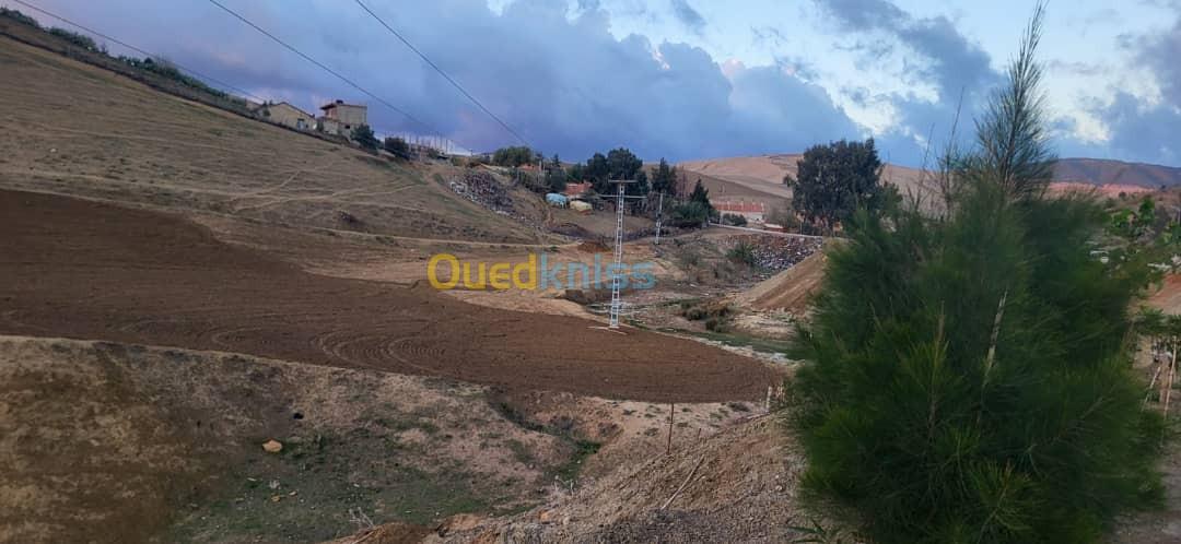 Vente Terrain Aïn Defla El abadia