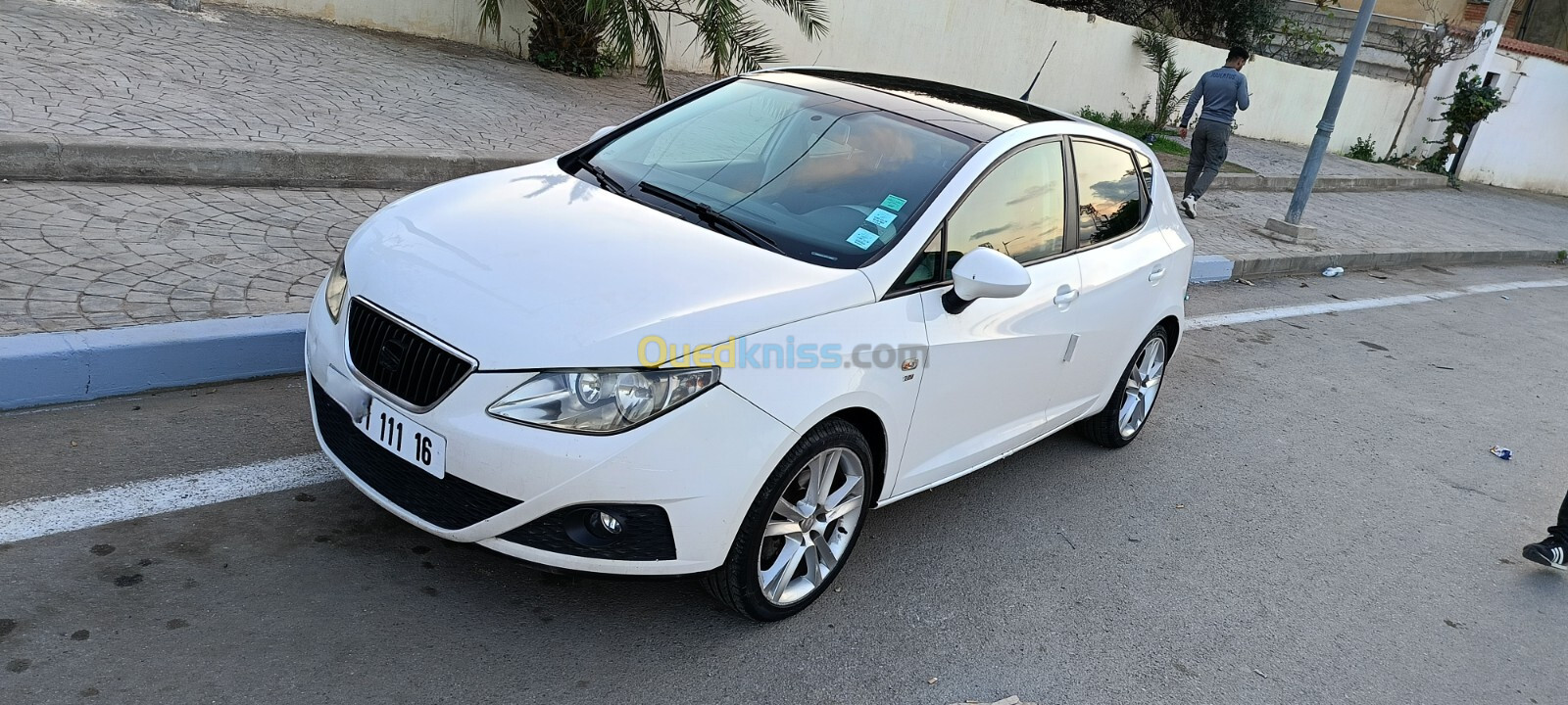 Seat Ibiza 2011 Loca