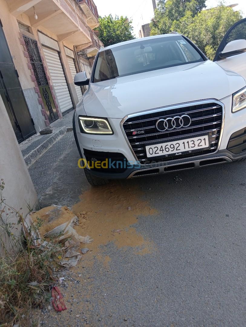 Audi Q5 2013 Off Road